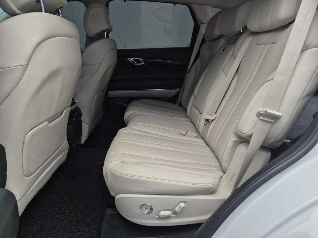 Genesis GV80 - Vista 12