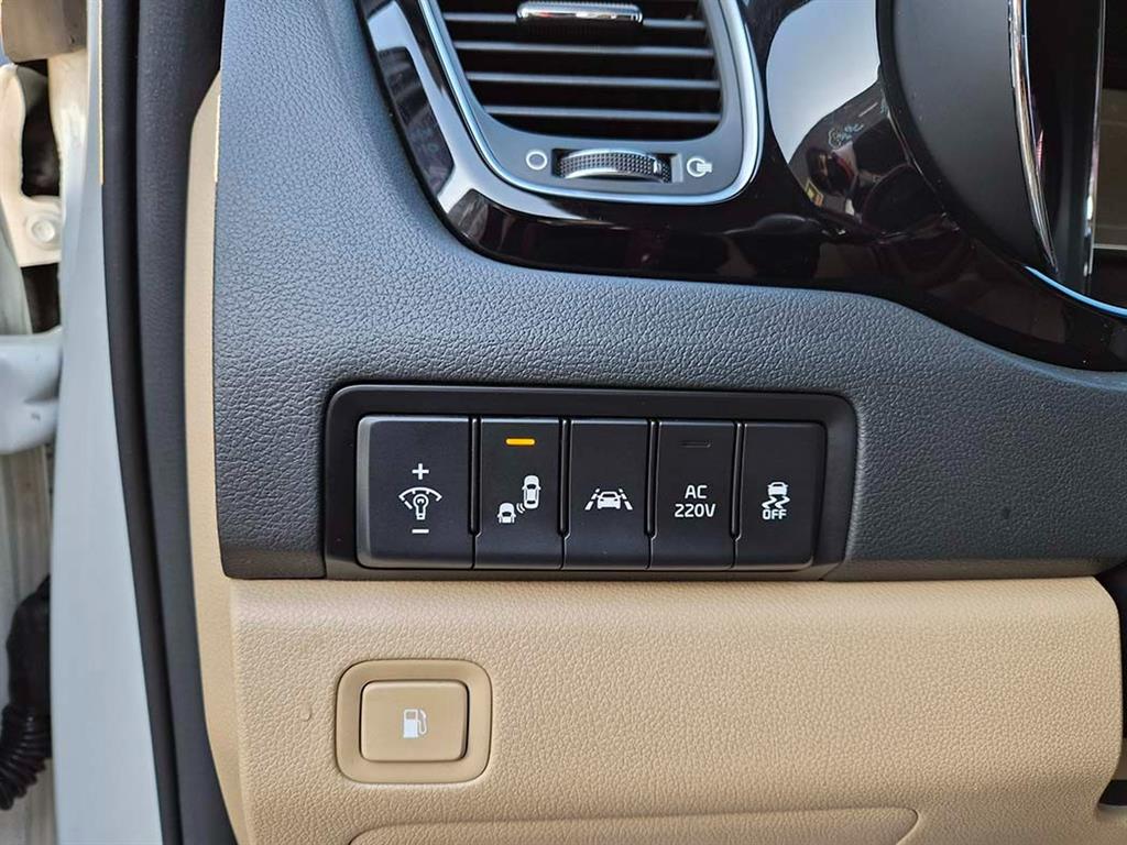KIA Carnival - Vista 12