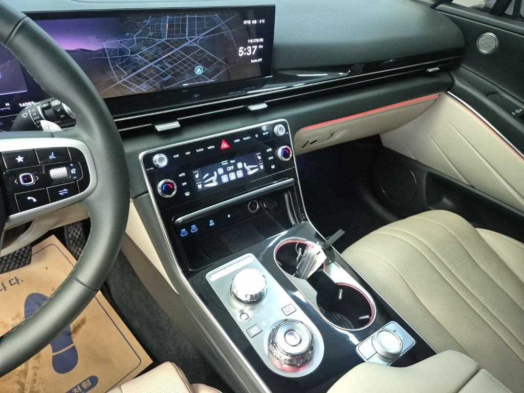 Genesis GV80 - Vista 10