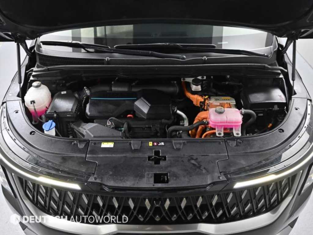 KIA Carnival - Vista 6