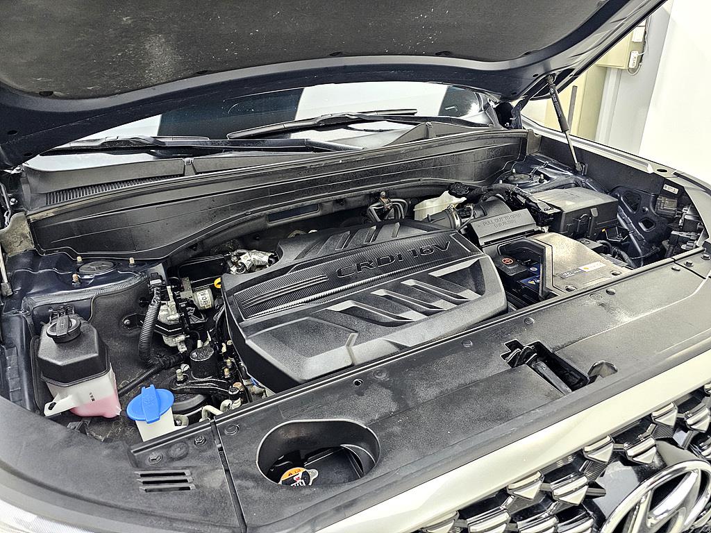 HYUNDAI Palisade - Vista 6