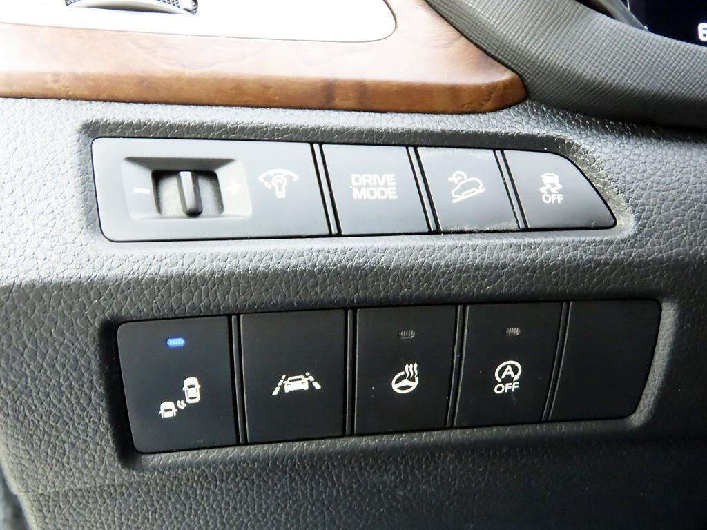 HYUNDAI Maxcruz - Vista 12