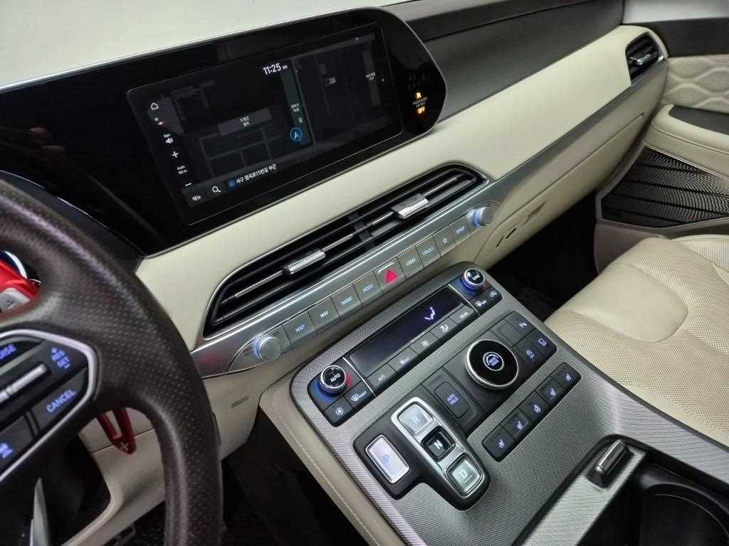 HYUNDAI Palisade - Vista 10