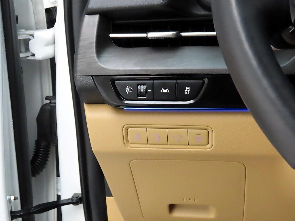 KIA Carnival - Vista 11