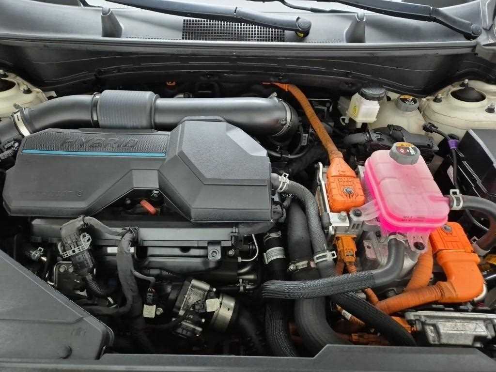 KIA Sportage - Vista 5