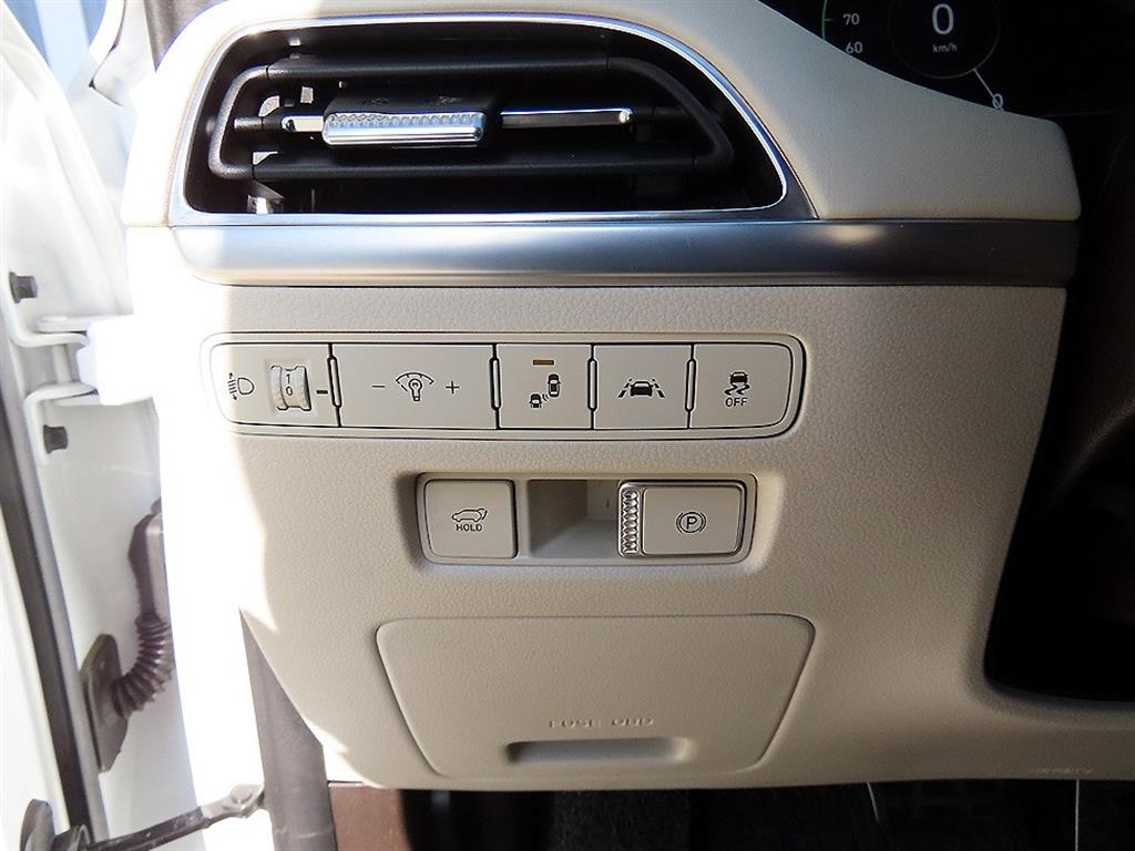 HYUNDAI Palisade - Vista 12