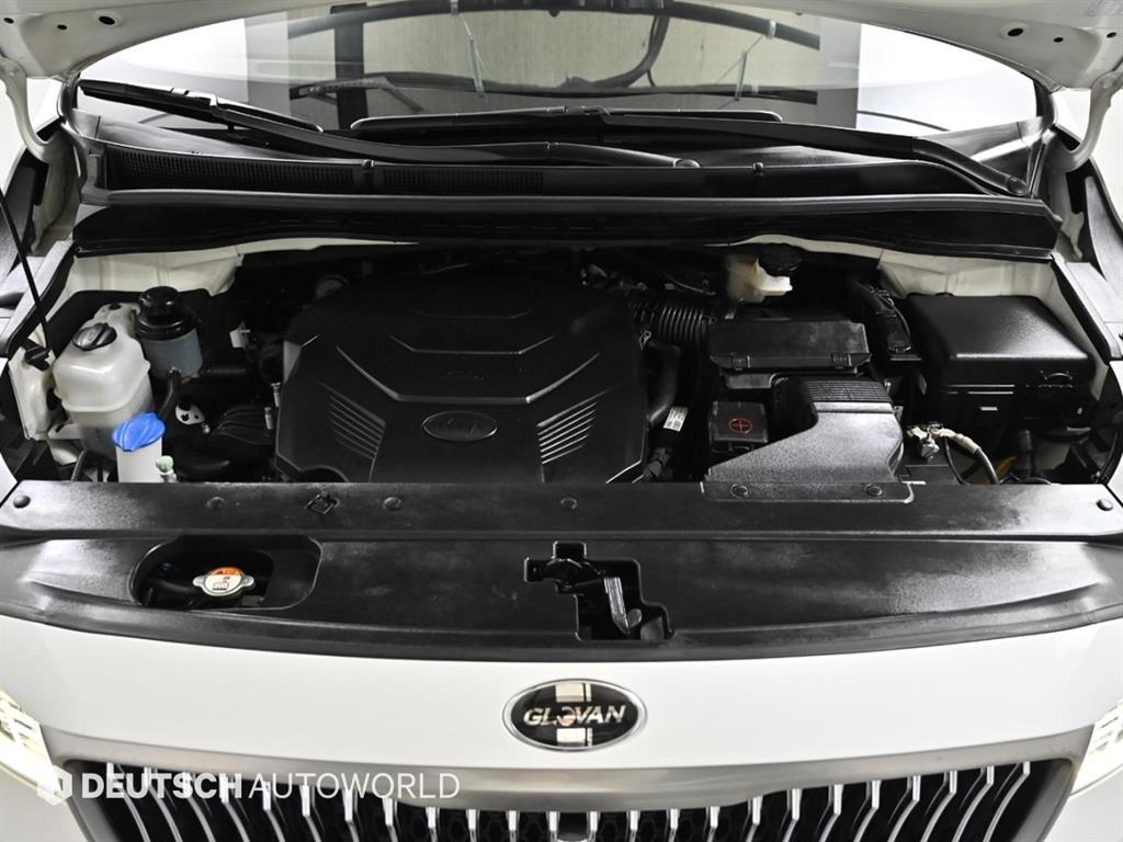 KIA Carnival - Vista 6