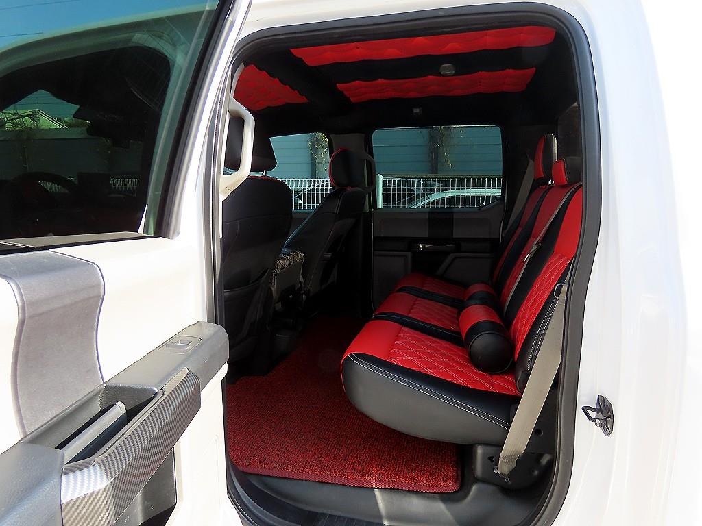 Ford F-Series - Vista 6