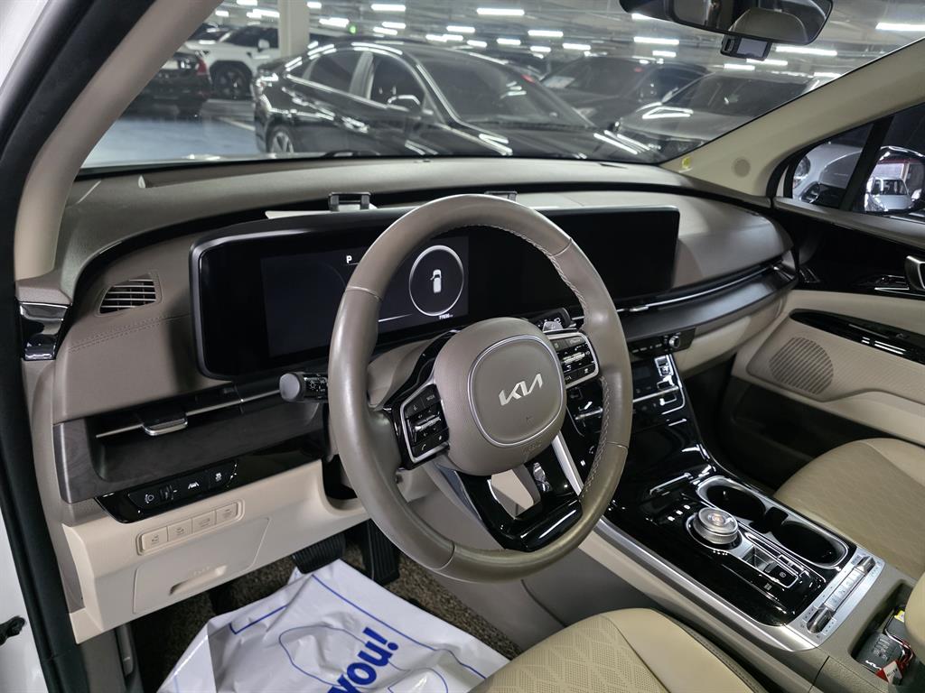 KIA Carnival - Vista 9