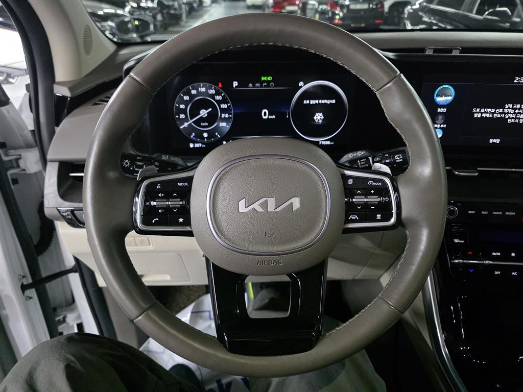 KIA Carnival - Vista 11