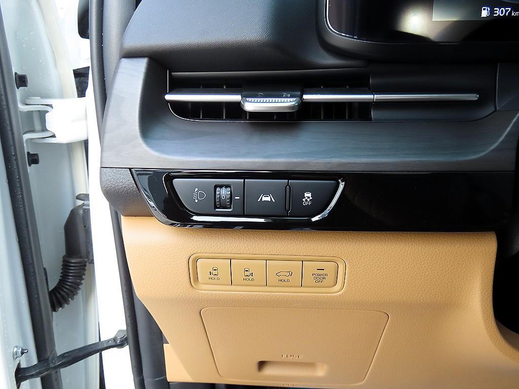 KIA Carnival - Vista 12