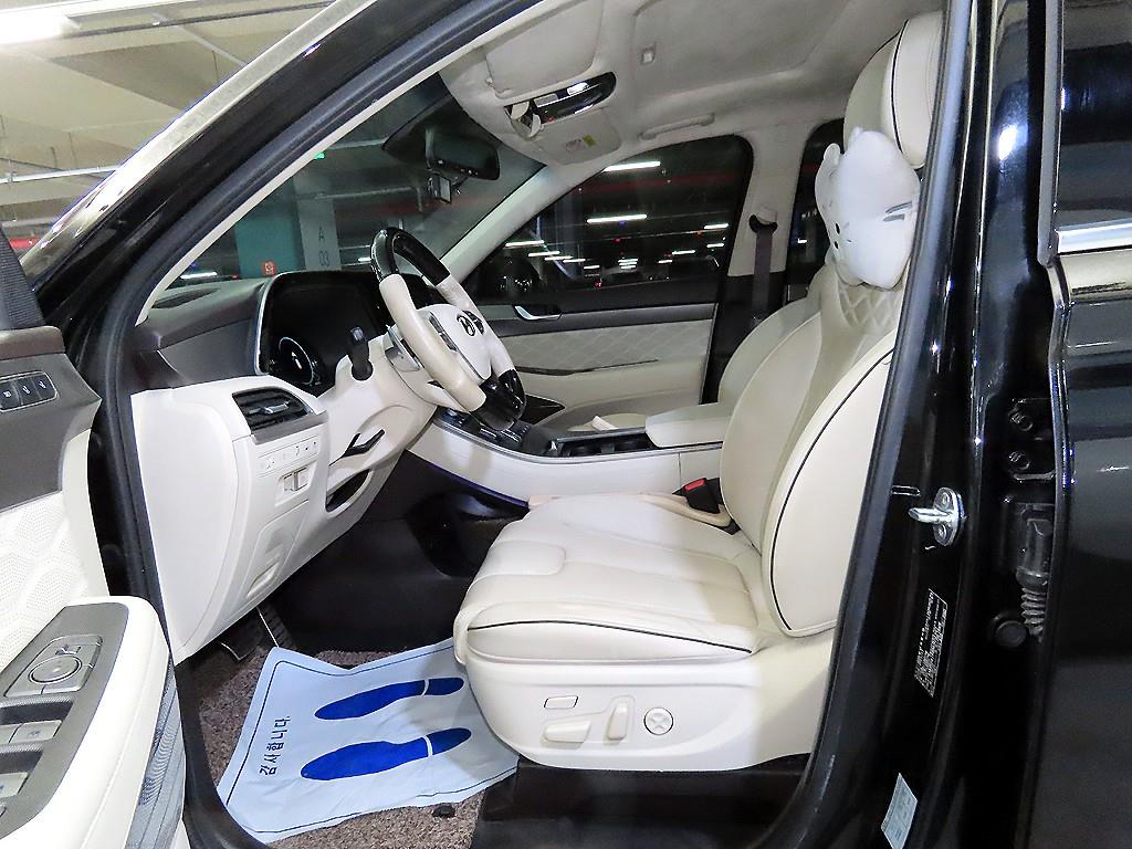 HYUNDAI Palisade - Vista 6