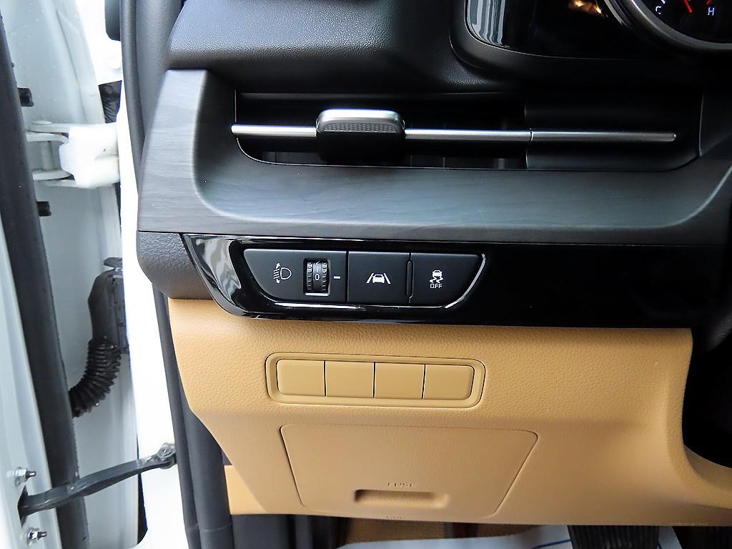 KIA Carnival - Vista 12