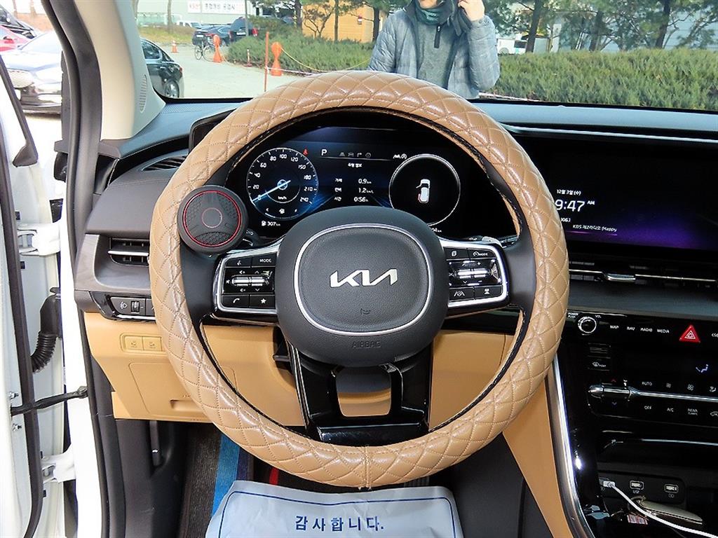 KIA Carnival - Vista 9