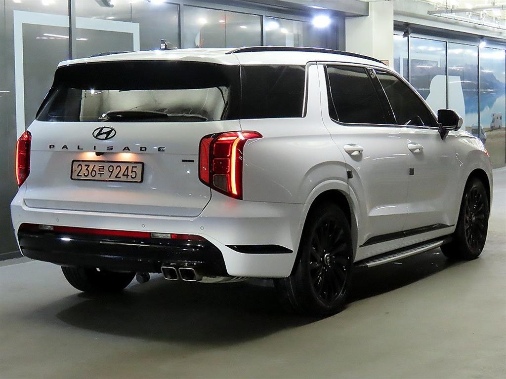 HYUNDAI Palisade - Vista 4