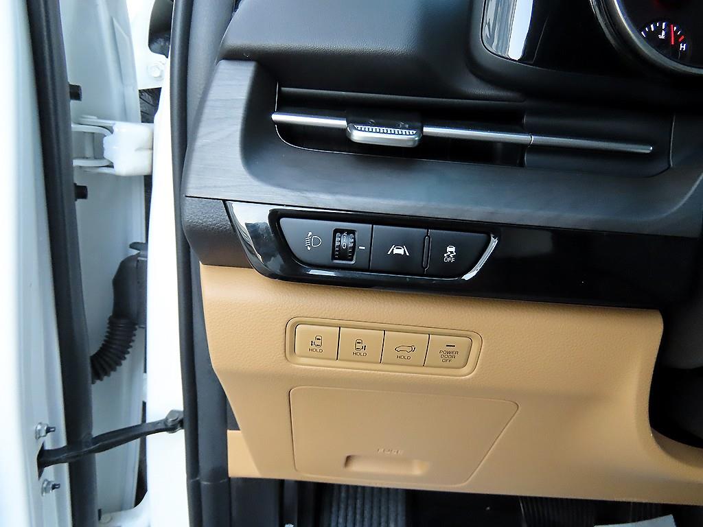 KIA Carnival - Vista 12