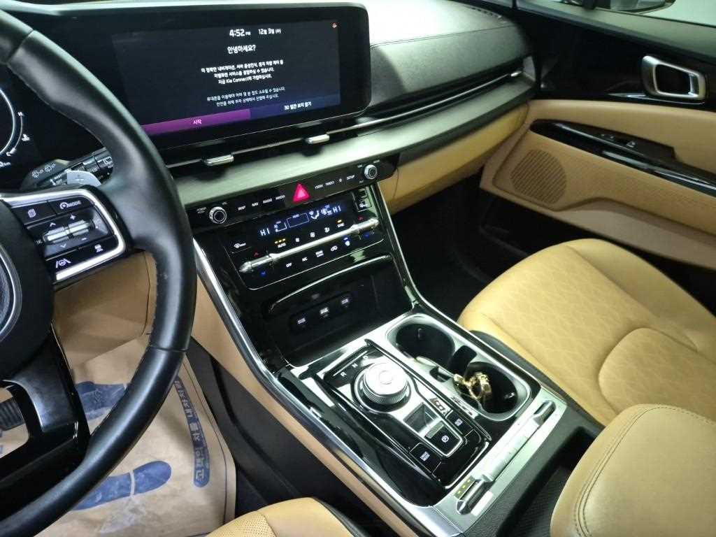 KIA Carnival - Vista 10