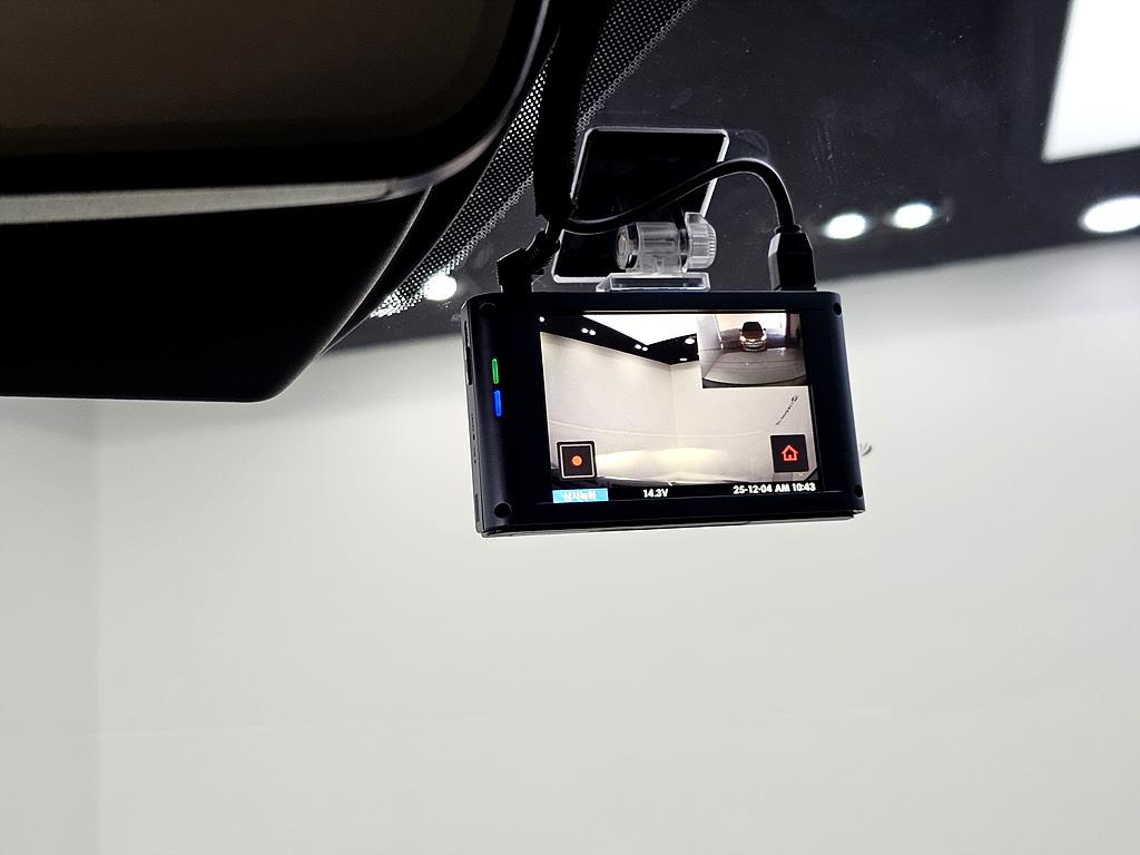 KIA Carnival - Vista 12