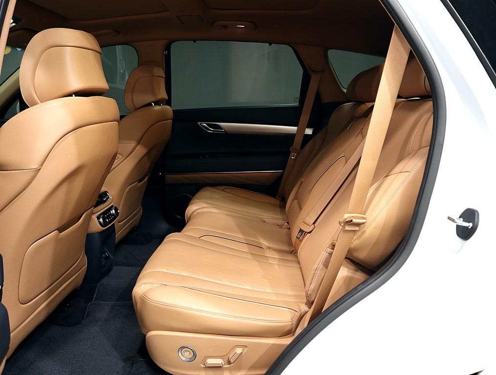 Genesis GV80 - Vista 10