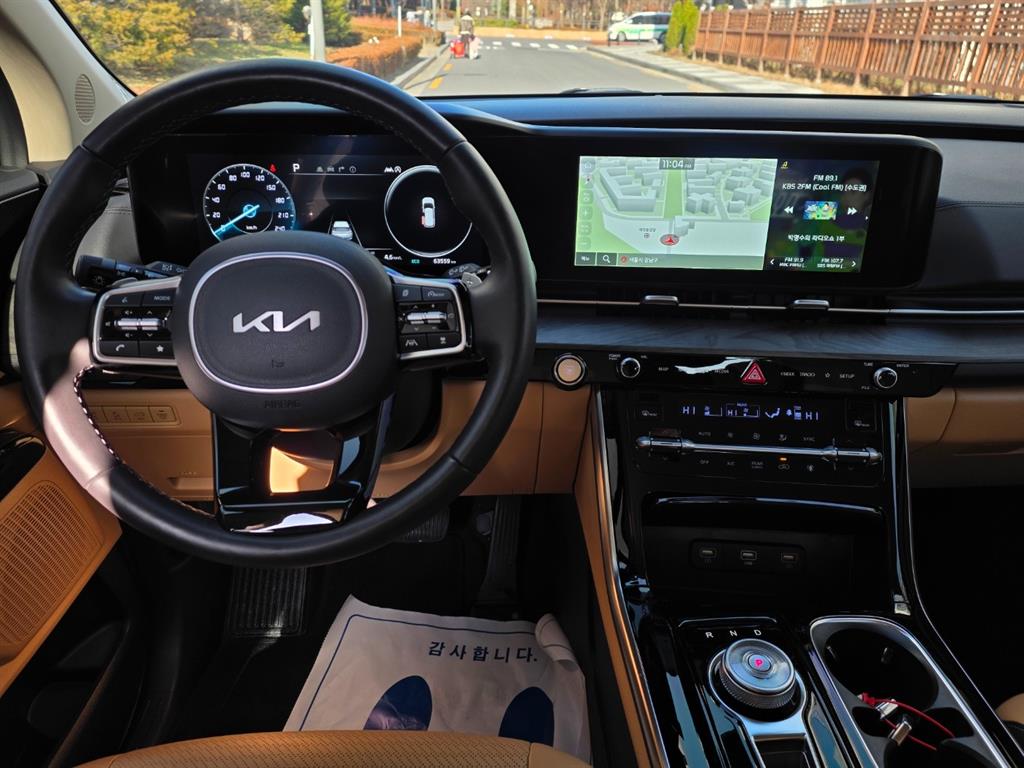 KIA Carnival - Vista 12