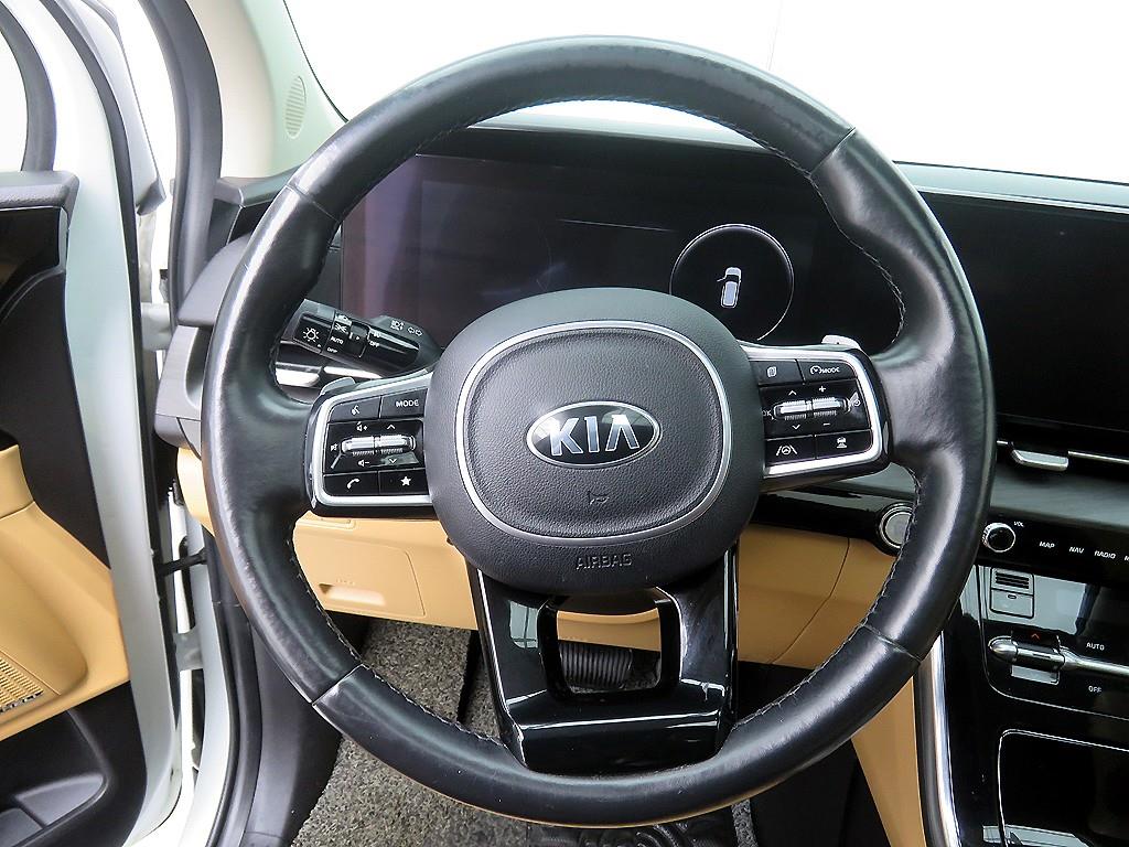 KIA Carnival - Vista 11