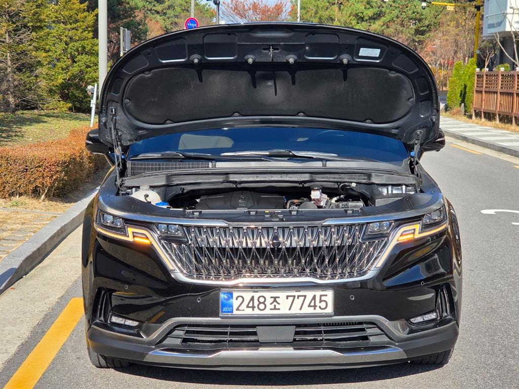 KIA Carnival - Vista 5