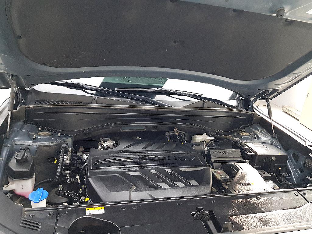 HYUNDAI Palisade - Vista 6