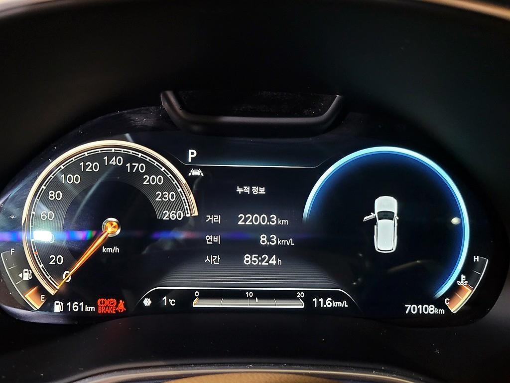 Genesis GV80 - Vista 10