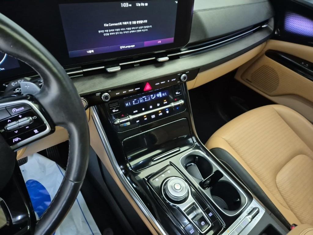 KIA Carnival - Vista 10