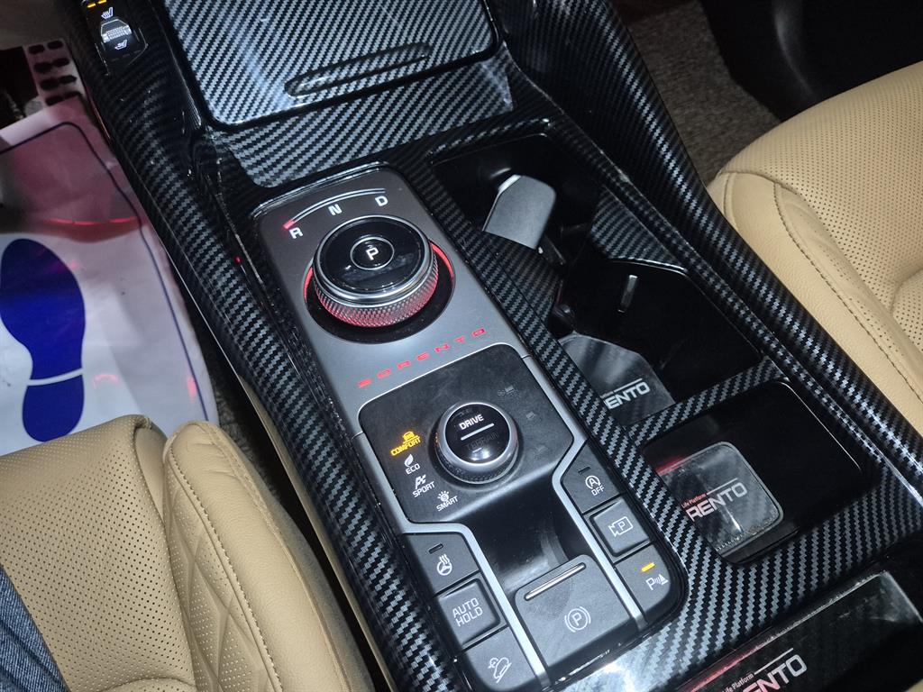 KIA Sorento - Vista 10