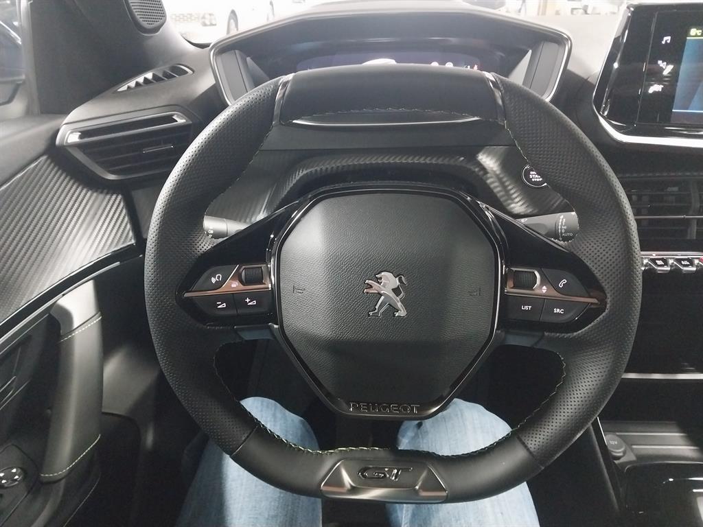 Peugeot 2008 - Vista 8