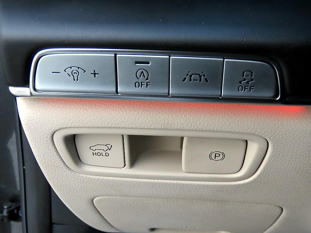 Genesis GV80 - Vista 12