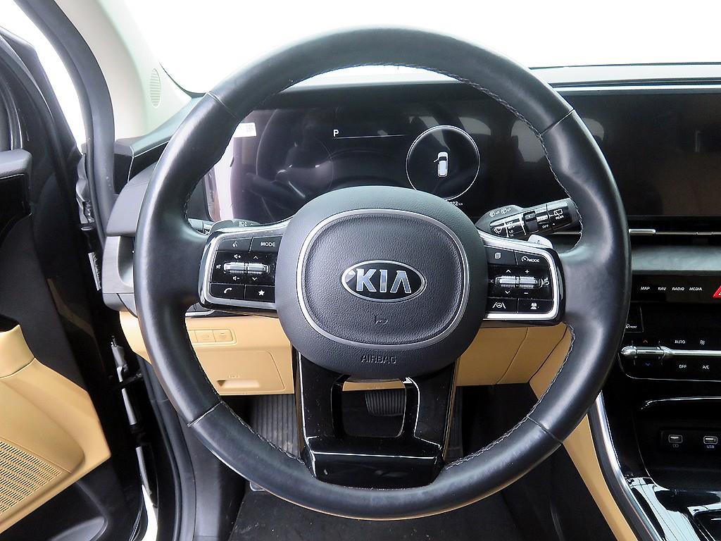 KIA Carnival - Vista 10