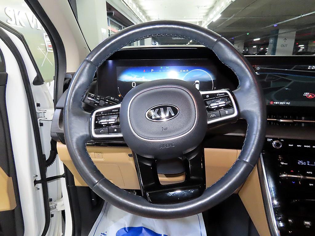 KIA Carnival - Vista 8