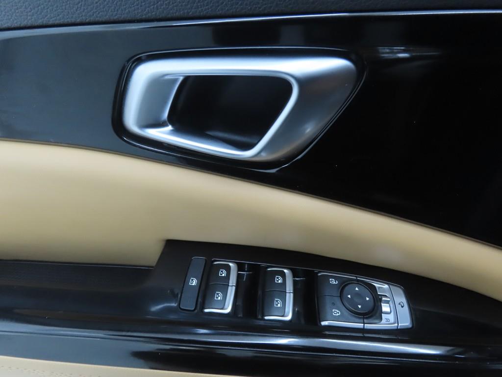 KIA Carnival - Vista 9