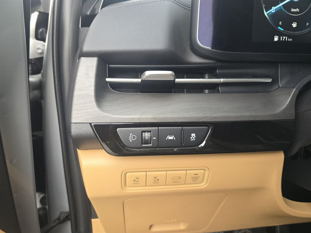 KIA Carnival - Vista 12