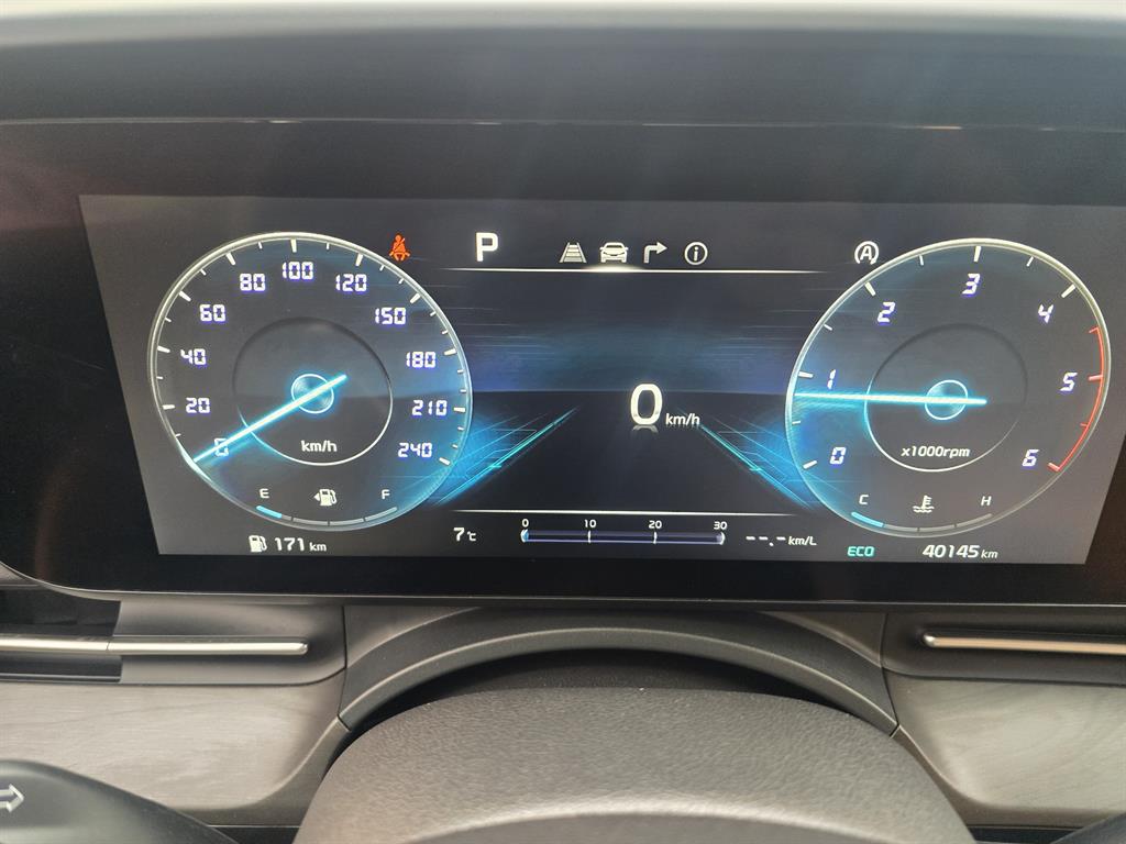 KIA Carnival - Vista 6