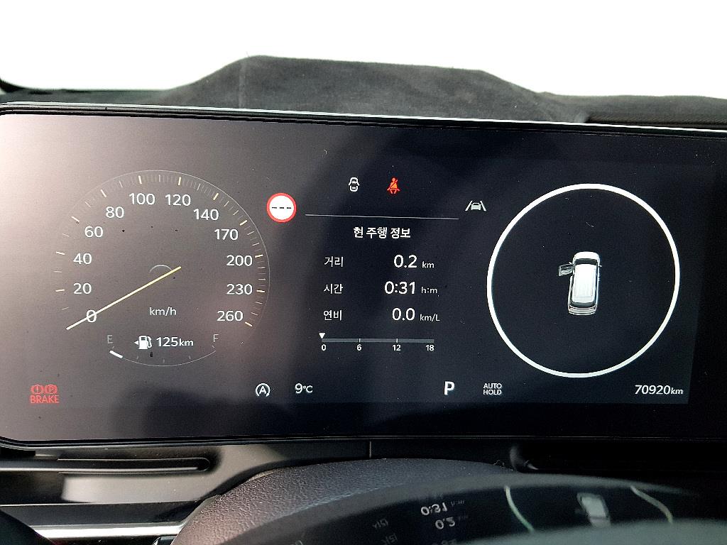 KIA Carnival - Vista 7