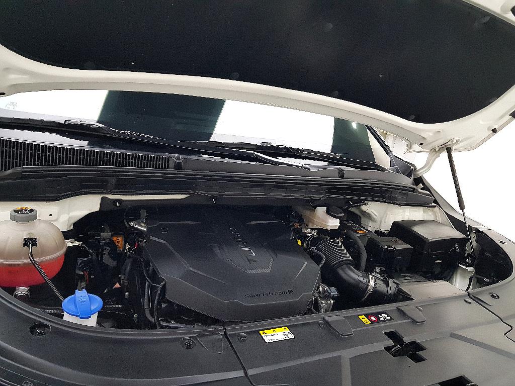 KIA Carnival - Vista 6