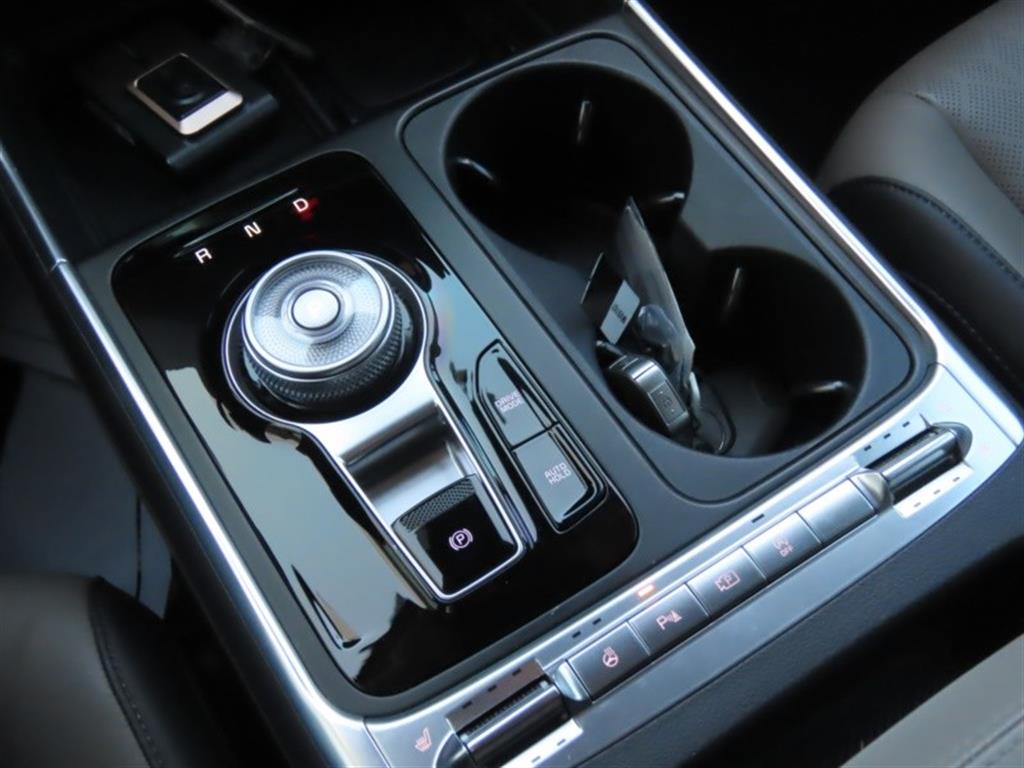 KIA Carnival - Vista 11