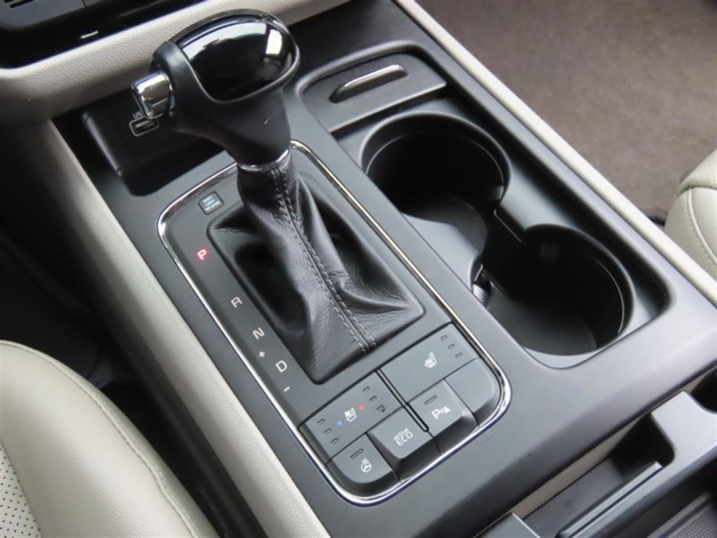 KIA Carnival - Vista 11