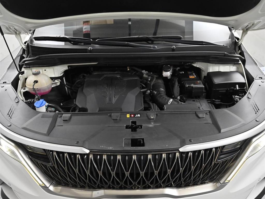 KIA Carnival - Vista 7