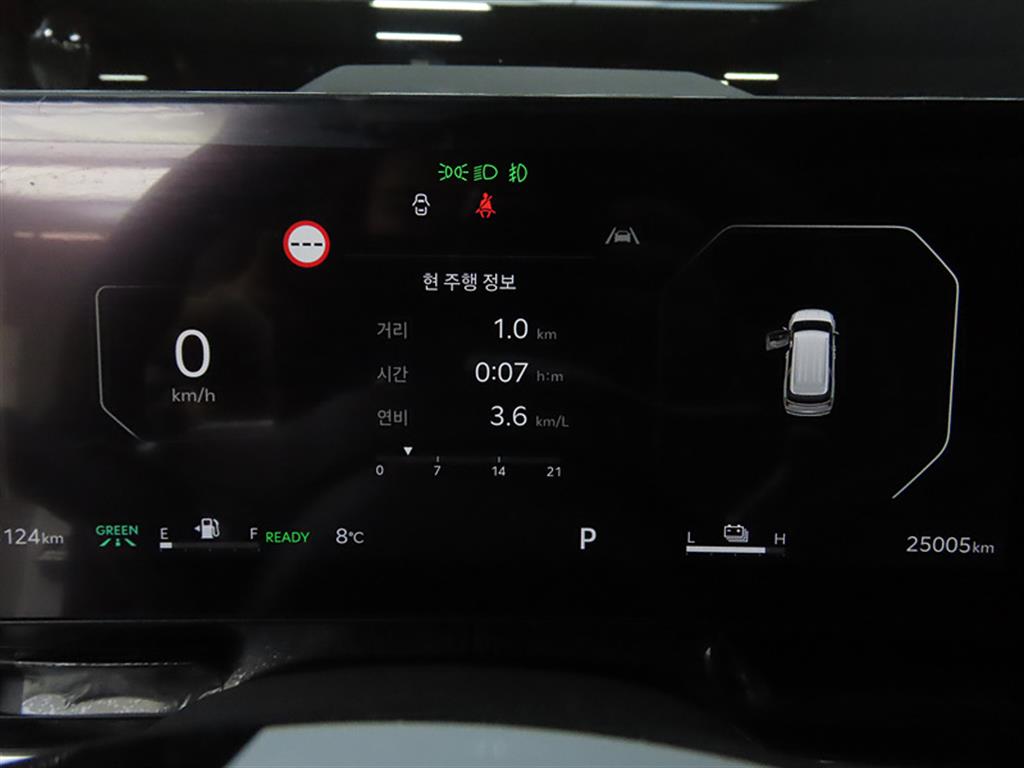 KIA Carnival - Vista 8