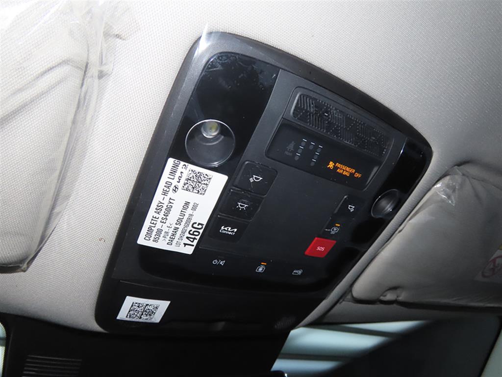 KIA Carnival - Vista 12