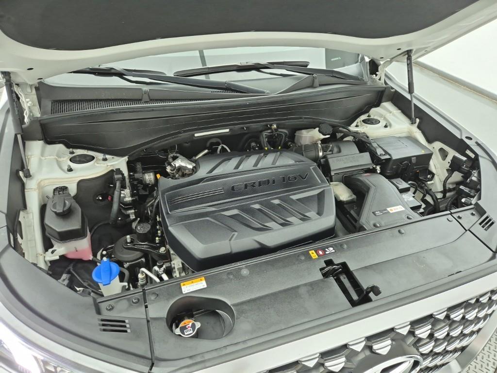 HYUNDAI Palisade - Vista 5