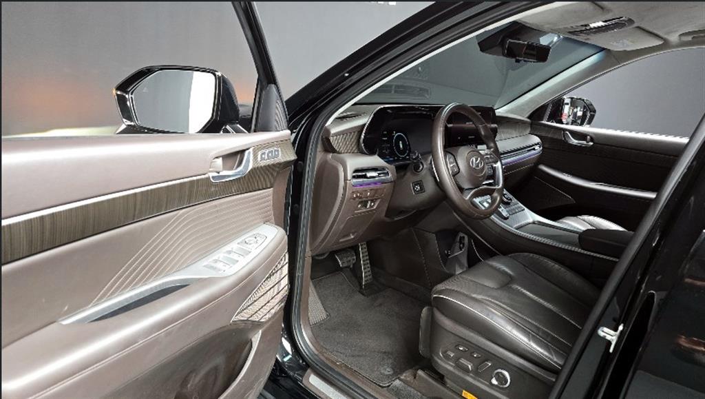 HYUNDAI Palisade - Vista 10