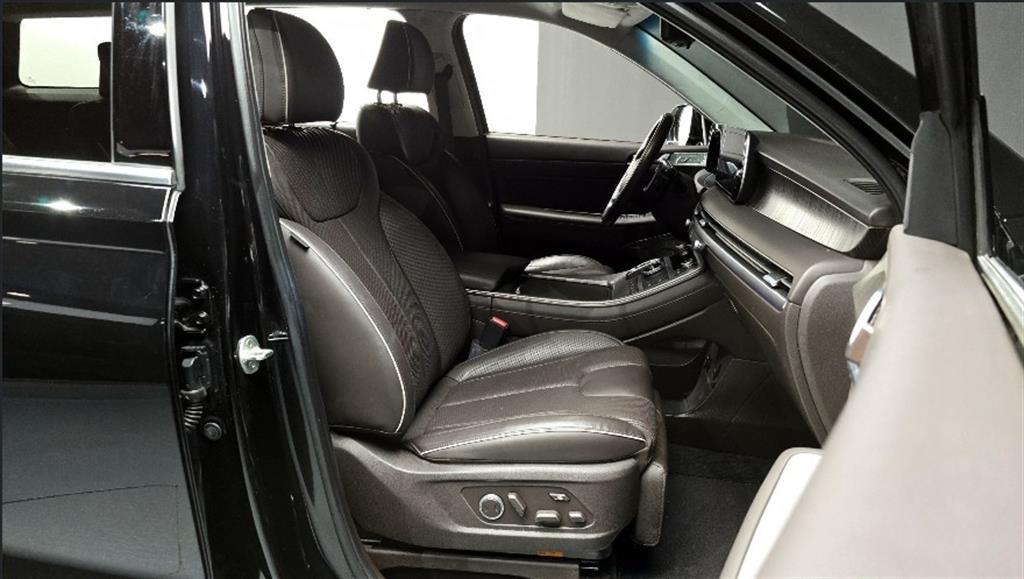 HYUNDAI Palisade - Vista 9