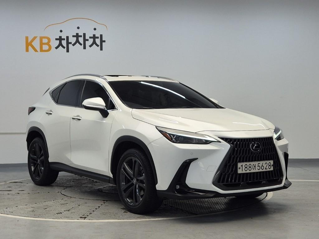 Lexus NX - Vista 4