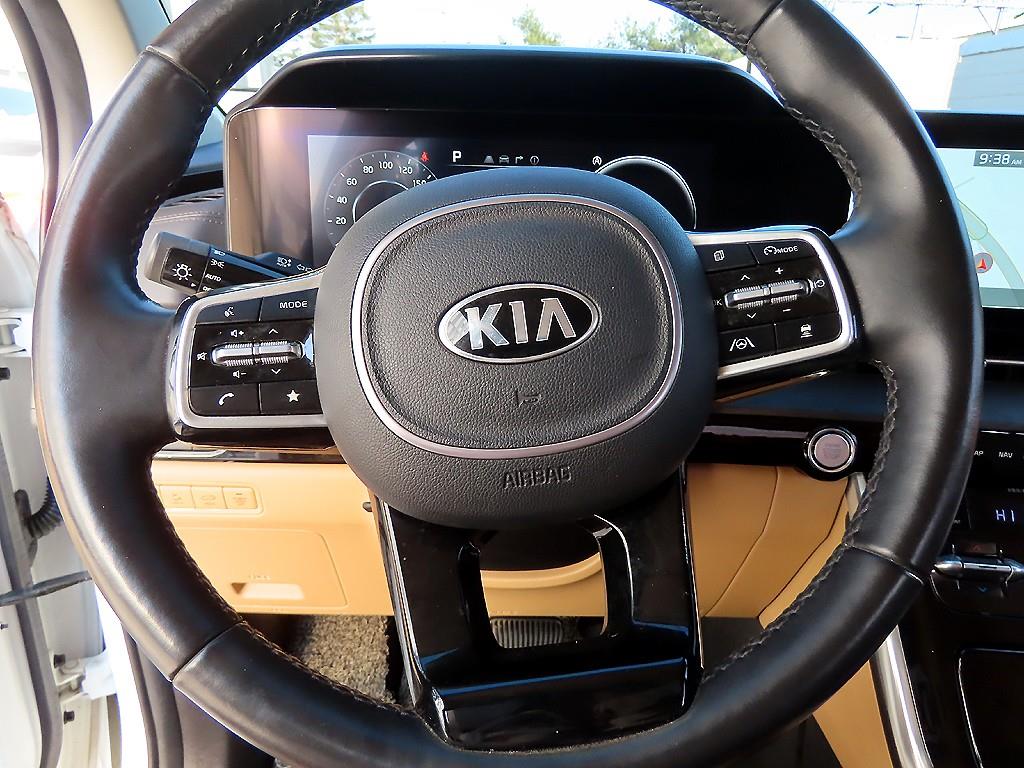 KIA Carnival - Vista 9