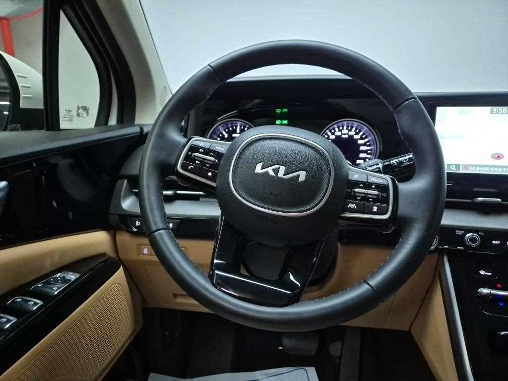 KIA Carnival - Vista 9